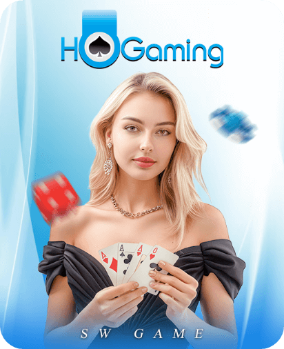 0000_Hogaming